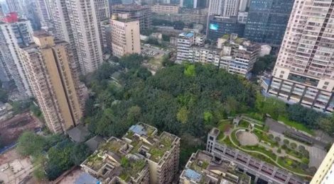 Chongqing People’s Park The hidden forest in the city