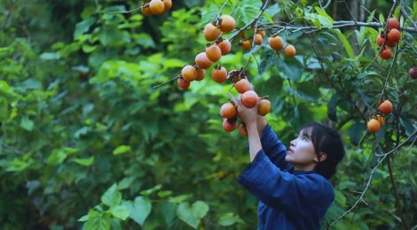 GGII MUST WATCH - Sichuan rural life insights with Li Ziqi