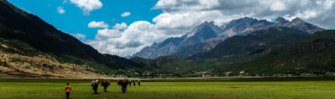 Reinventing tourism companies in Western China - The case of Lijiang Xintuo Ecotourism