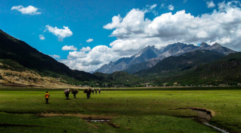 Reinventing tourism companies in Western China - The case of Lijiang Xintuo Ecotourism