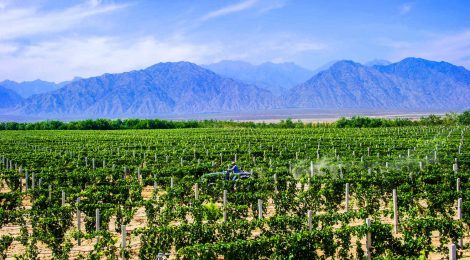 Western China Food & Wine Series - Ningxia Wine Region and Wine Tourism Opportunities