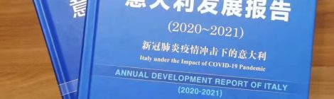 GGII PUBLICATIONS - New article on Sino Italian cooperation