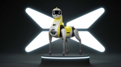 China Robotics Rise 2 - The Steel Unicorns